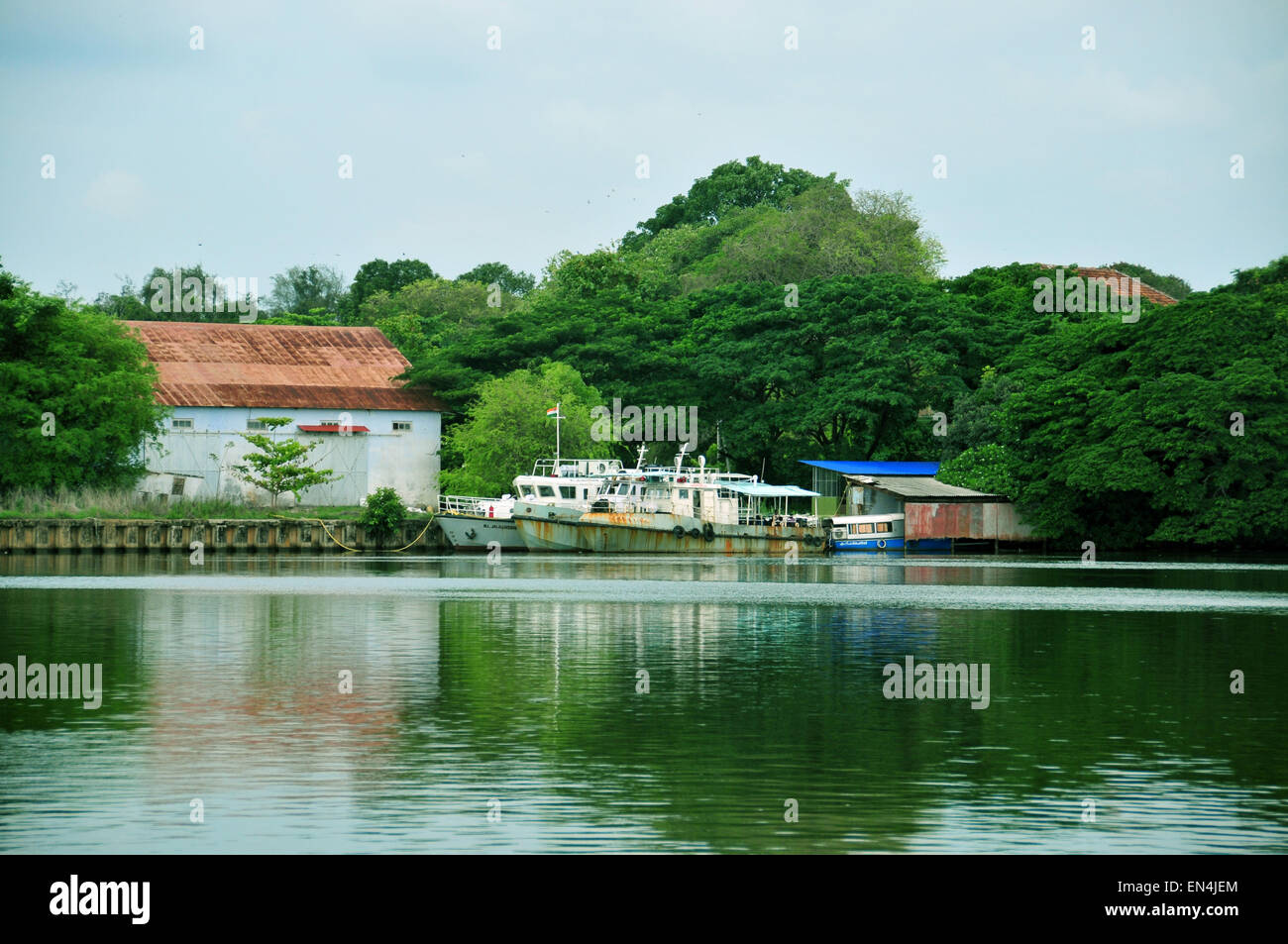 Beautiful backwaters and coconut trees with vibrant greenery Stock Photo