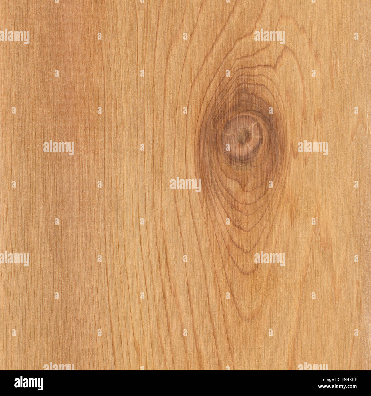 Natural Brown Wood Grain Textured Background with Tree knot. Stock Photo