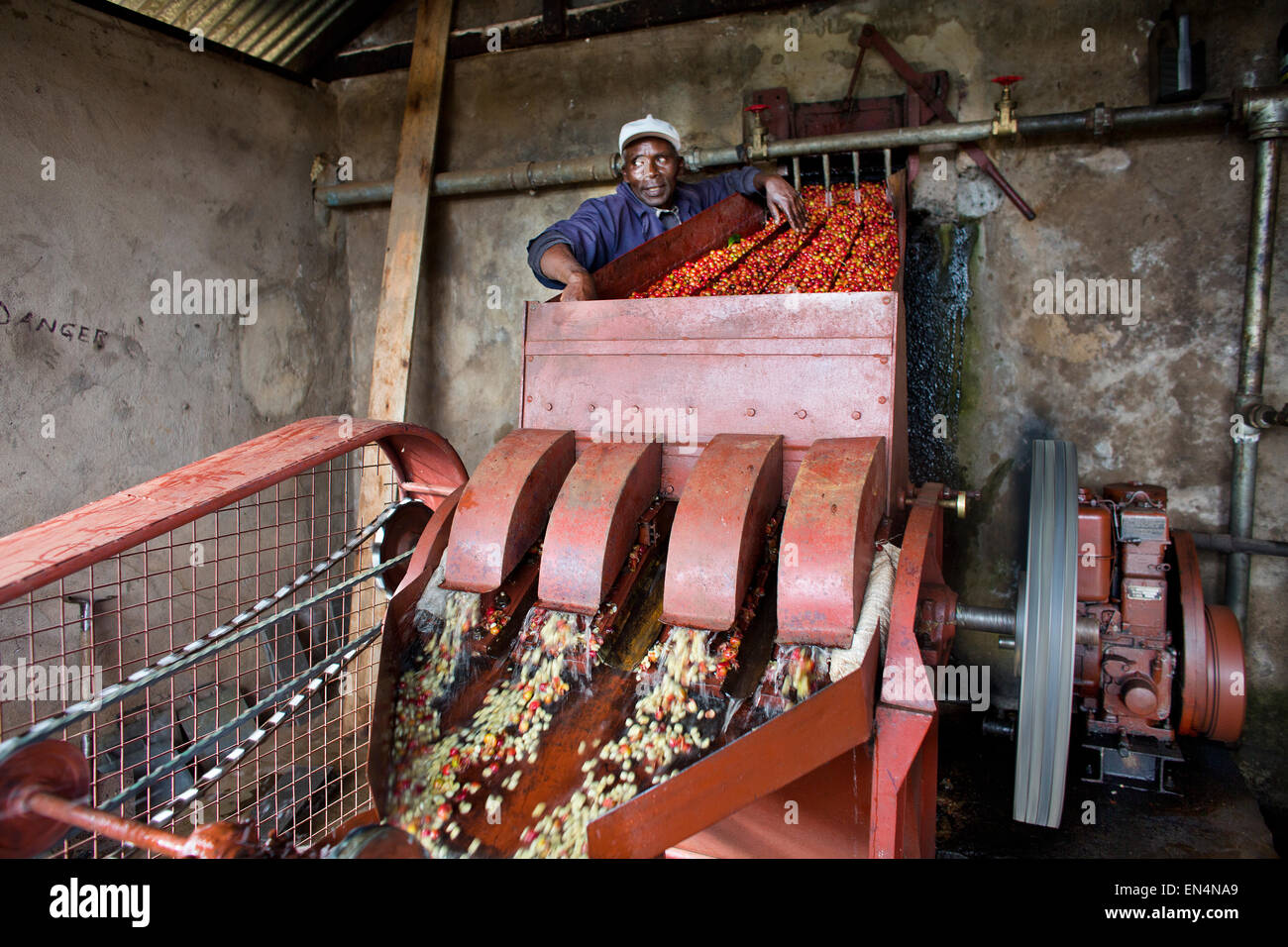 Coffee fields kenya hires stock photography and images Alamy