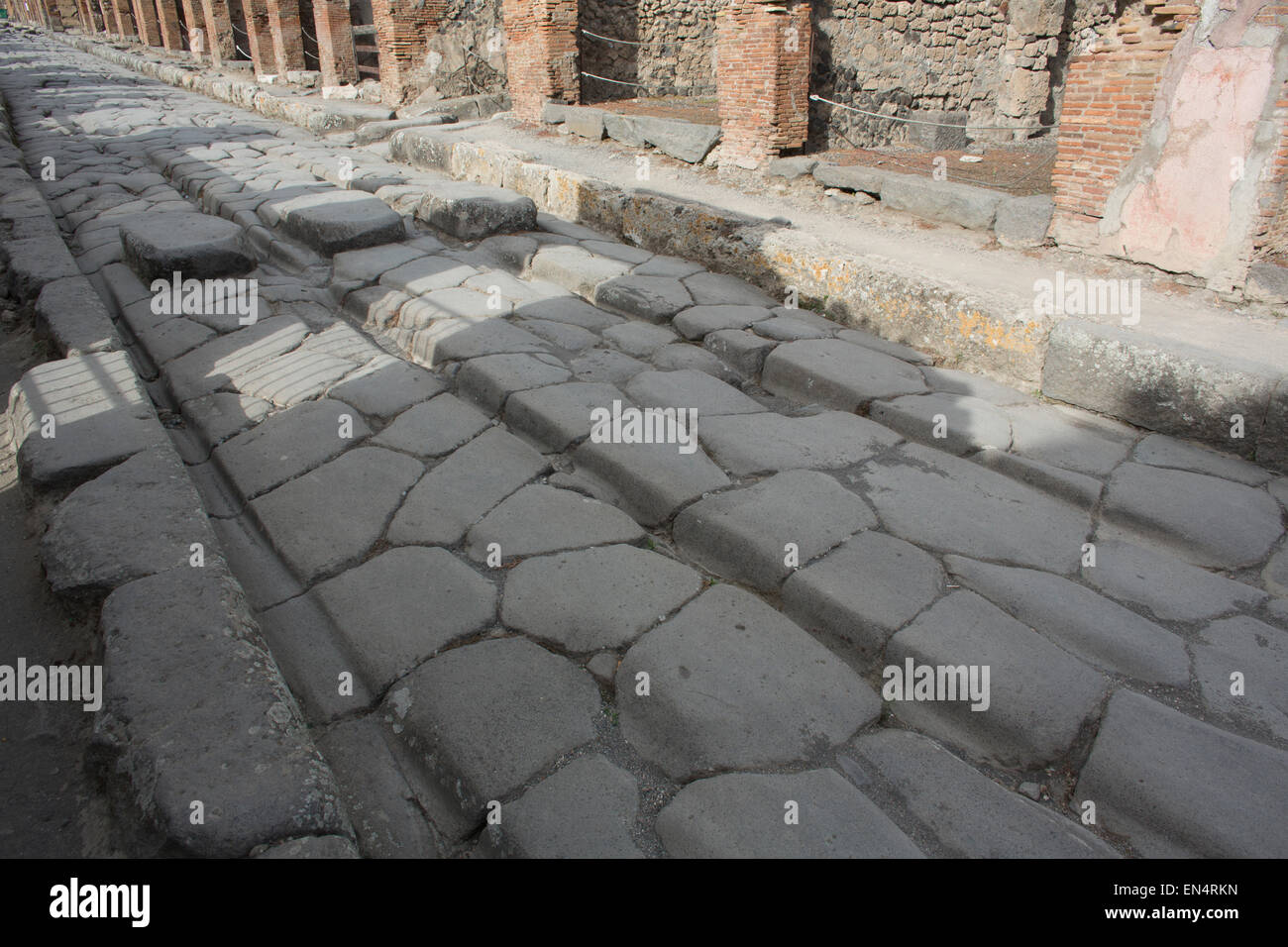 Almost 2,000 years ago, the city of pompeii was destroyed by an