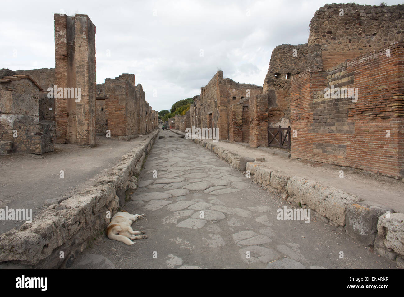 Almost 2,000 years ago, the city of pompeii was destroyed by an eruption of Mount Vesuvius. 20,000 residents of Pompeii and the 4,000 citizens of Herculaneum died. Stock Photo