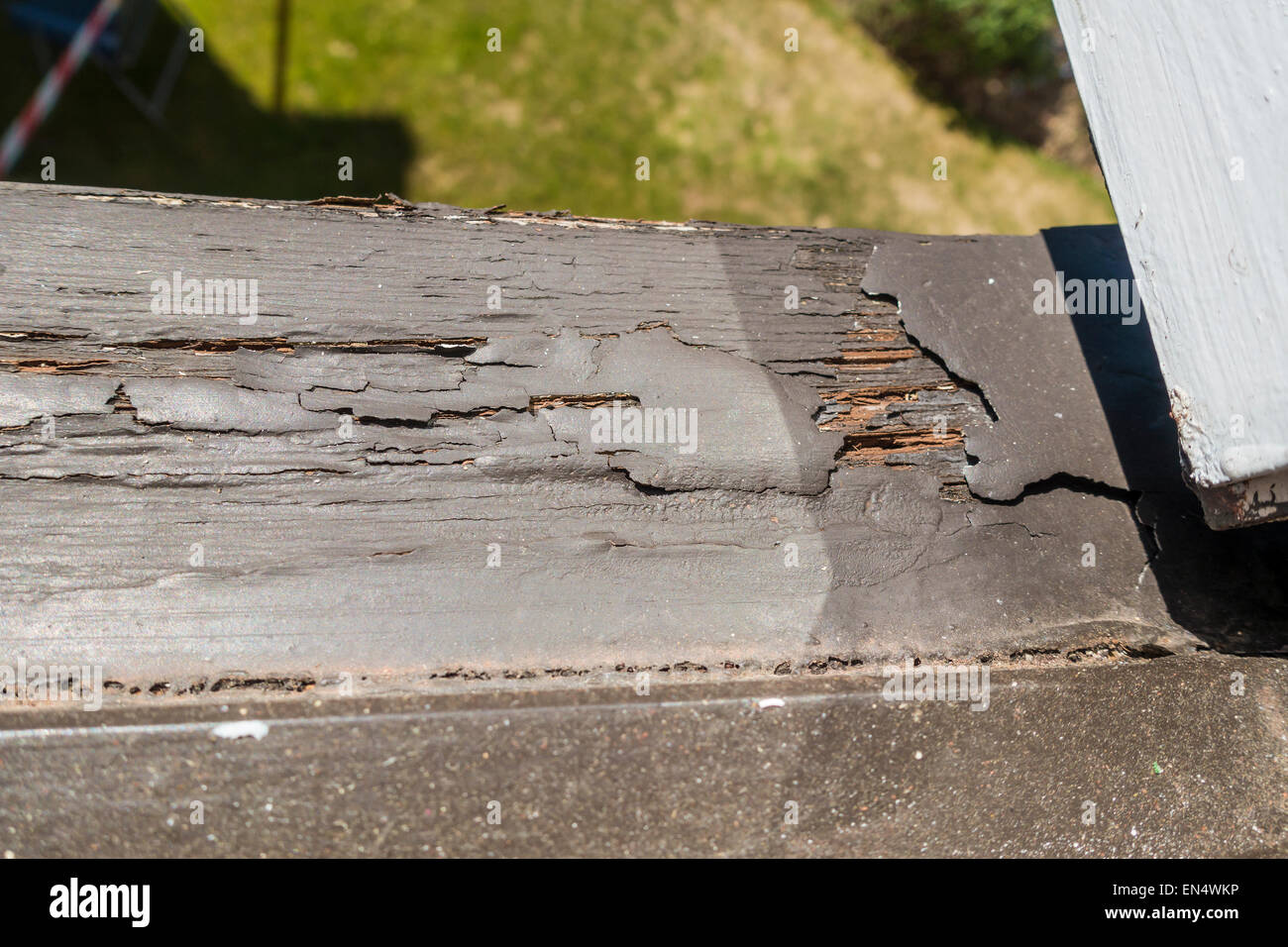 Rotted Window Frame Window Sill Rotten Woodwork Stock Photo