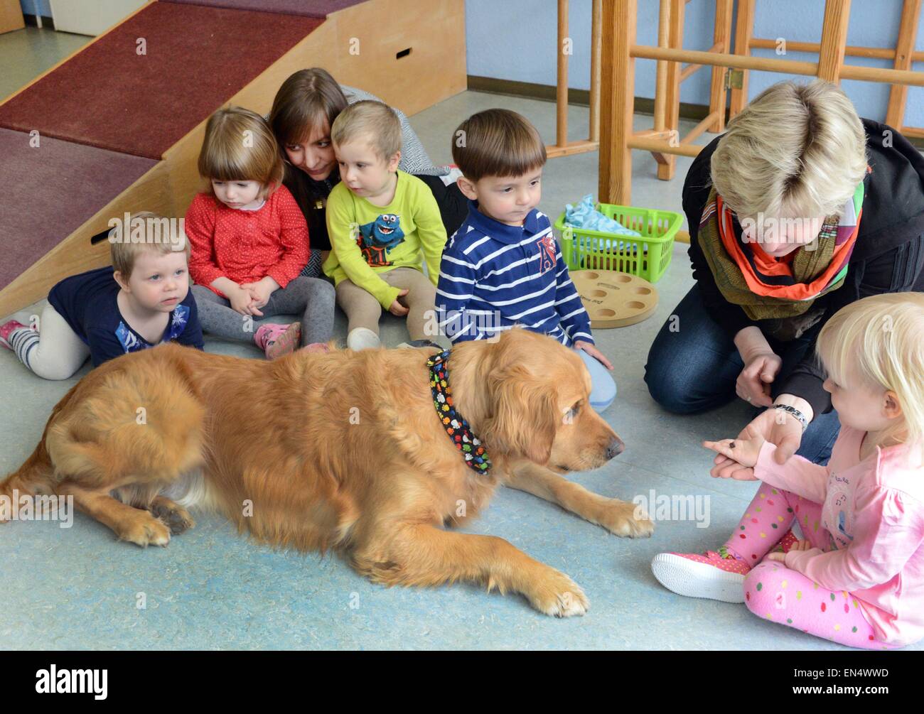 Halle, Germany. 24th Mar, 2015. The head of the nursery-school Constanze Stock (2nd R) and nursery-school teacher Kathrin Klingner (3rd L) demonstrate nursery-school children how to handle and treat 'Balu', a retriever, at the daycare facility for children 'Froschkoenig' in Halle, Germany, 24 March 2015. 'Balu' is the nursery-school's own dog and was specially trained as part of a 'language and integration' programme, supported by the German Ministery of Family Affairs, to foster the language development of children in nursery-schools. Photo: Waltraud Grubitzsch/dpa/Alamy Live News Stock Photo
