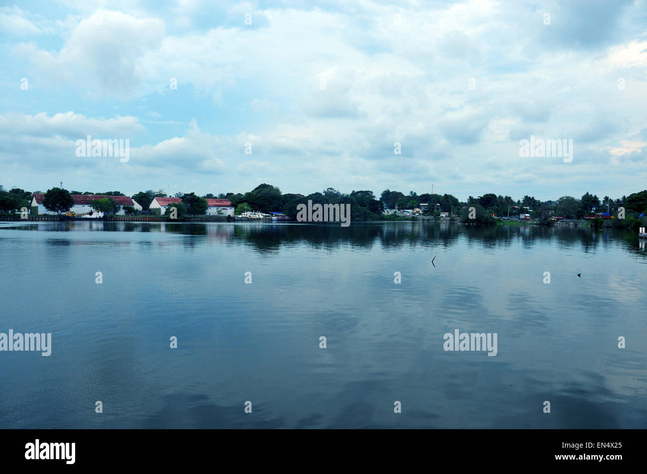 Wide view of a lake with blue sky. Stock Photo