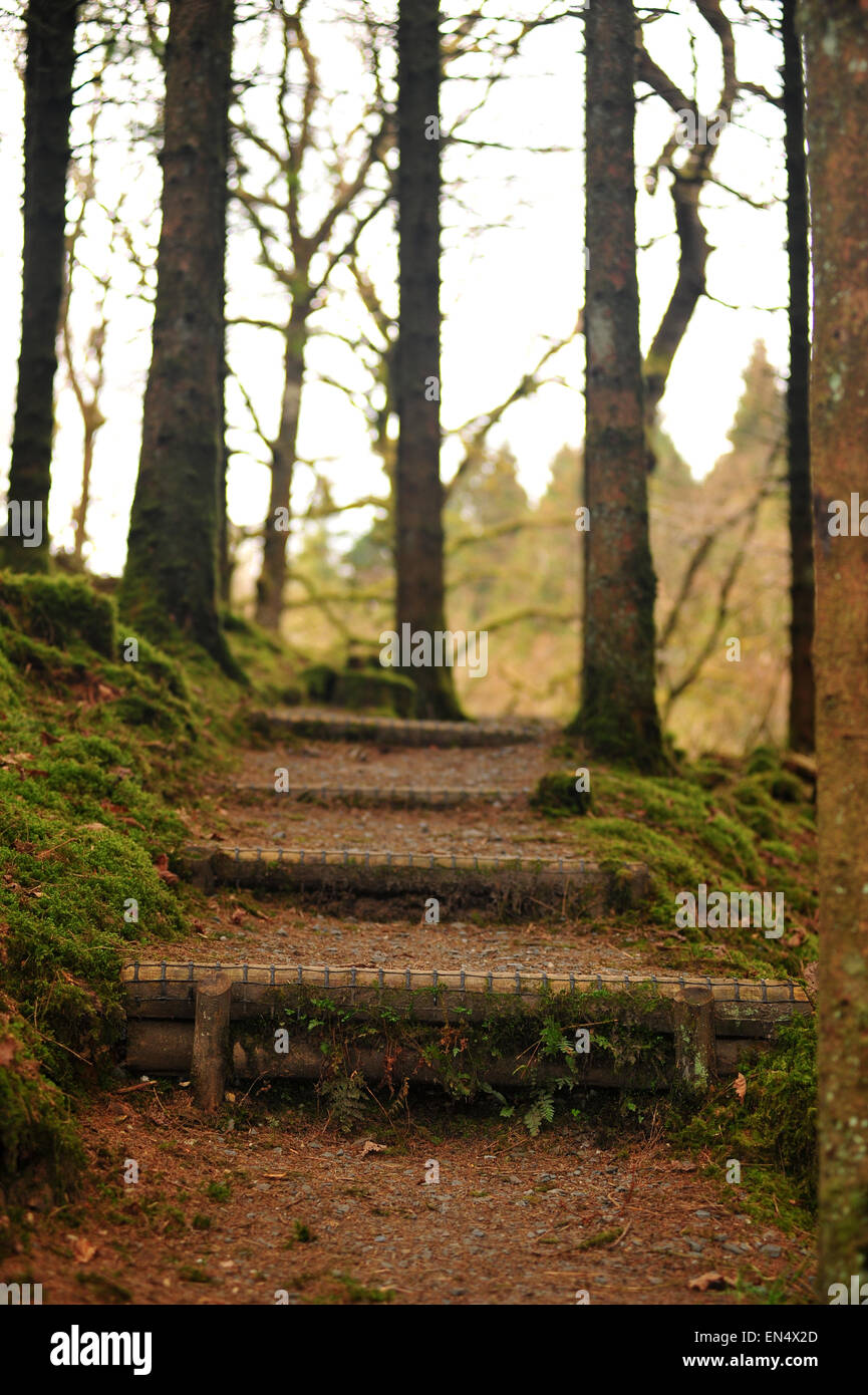 pilgrim path along steep steps to the … – License image – 70057520 ❘  lookphotos