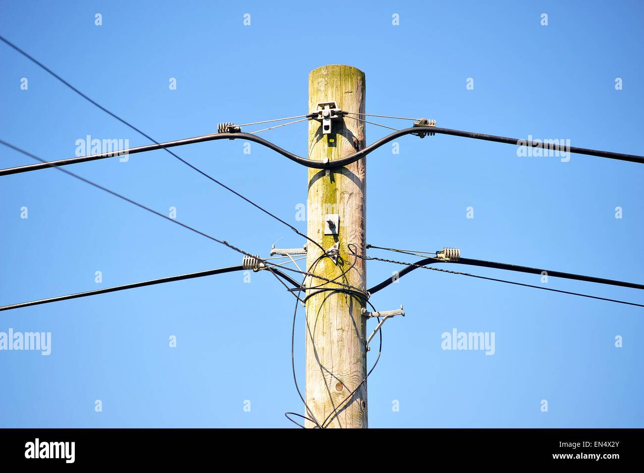 Cables attached to a wooden utility pole in Wales Stock Photo Alamy