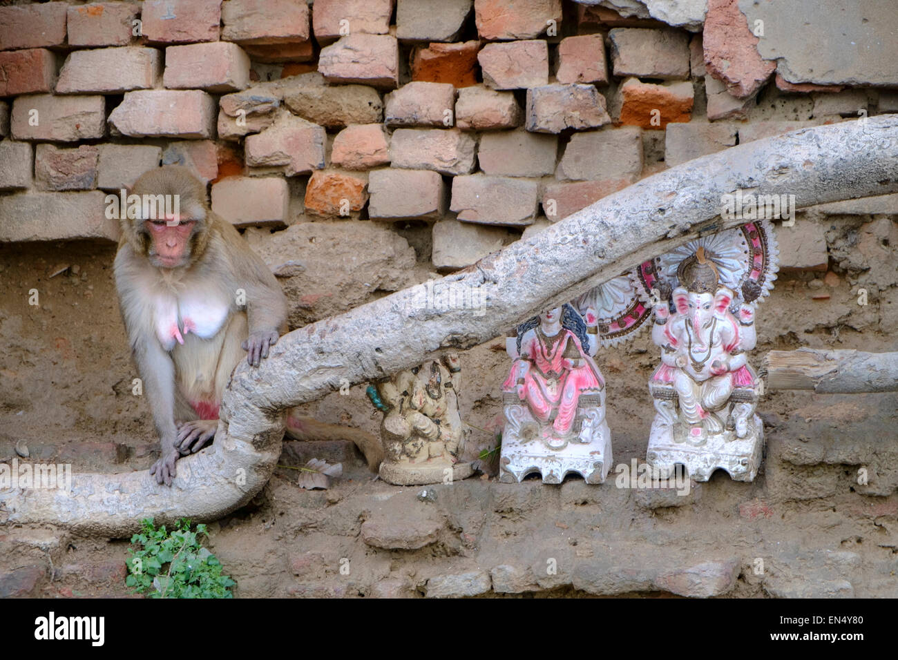 Monkey and Hindu god statues on the street of Vrindavan. Stock Photo