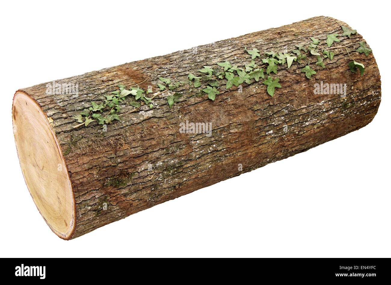 Wooden log Cut Out Stock Images & Pictures - Alamy