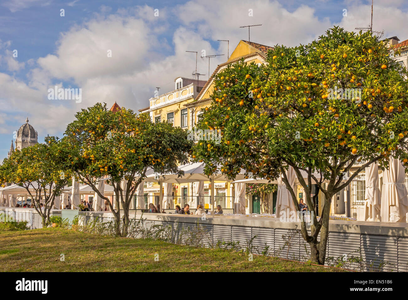 Orange Trees In Belem Lisbon Portugal Stock Photo
