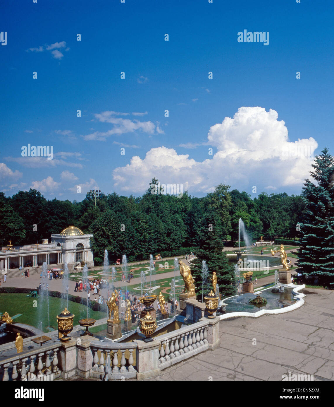 My Image 11