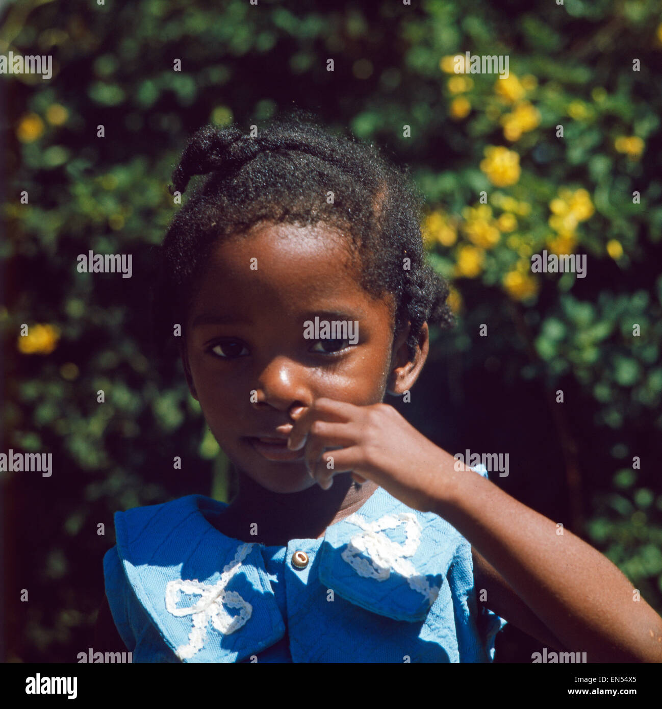 Eine Reise nach Jamaika, 1980er Jahre. A trip to Jamaica, 1980s Stock