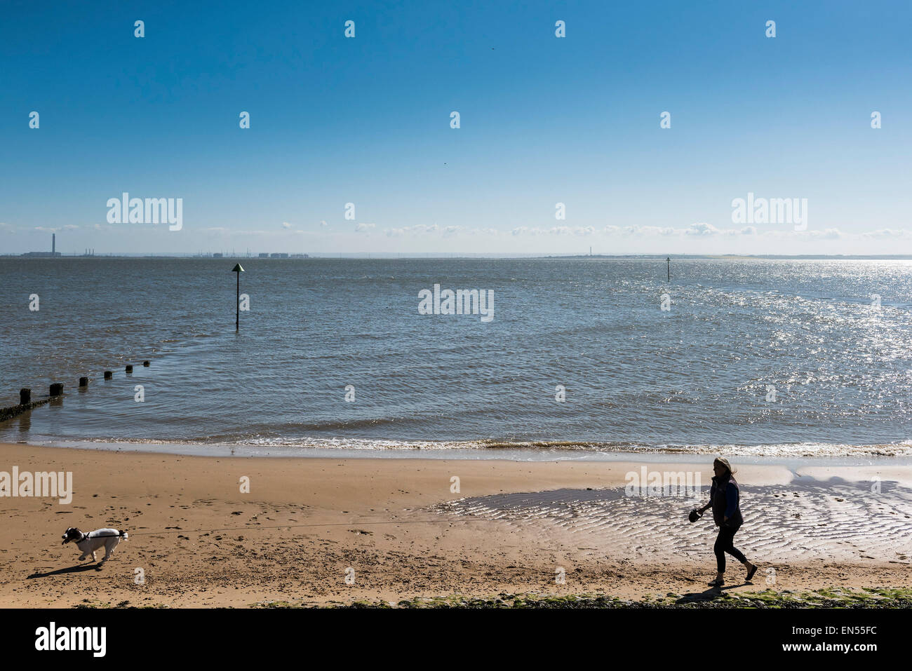 Dog Walking Southend