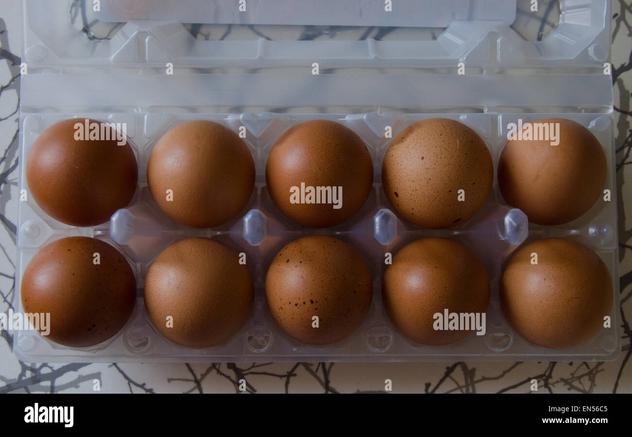 Eggs in box Stock Photo Alamy