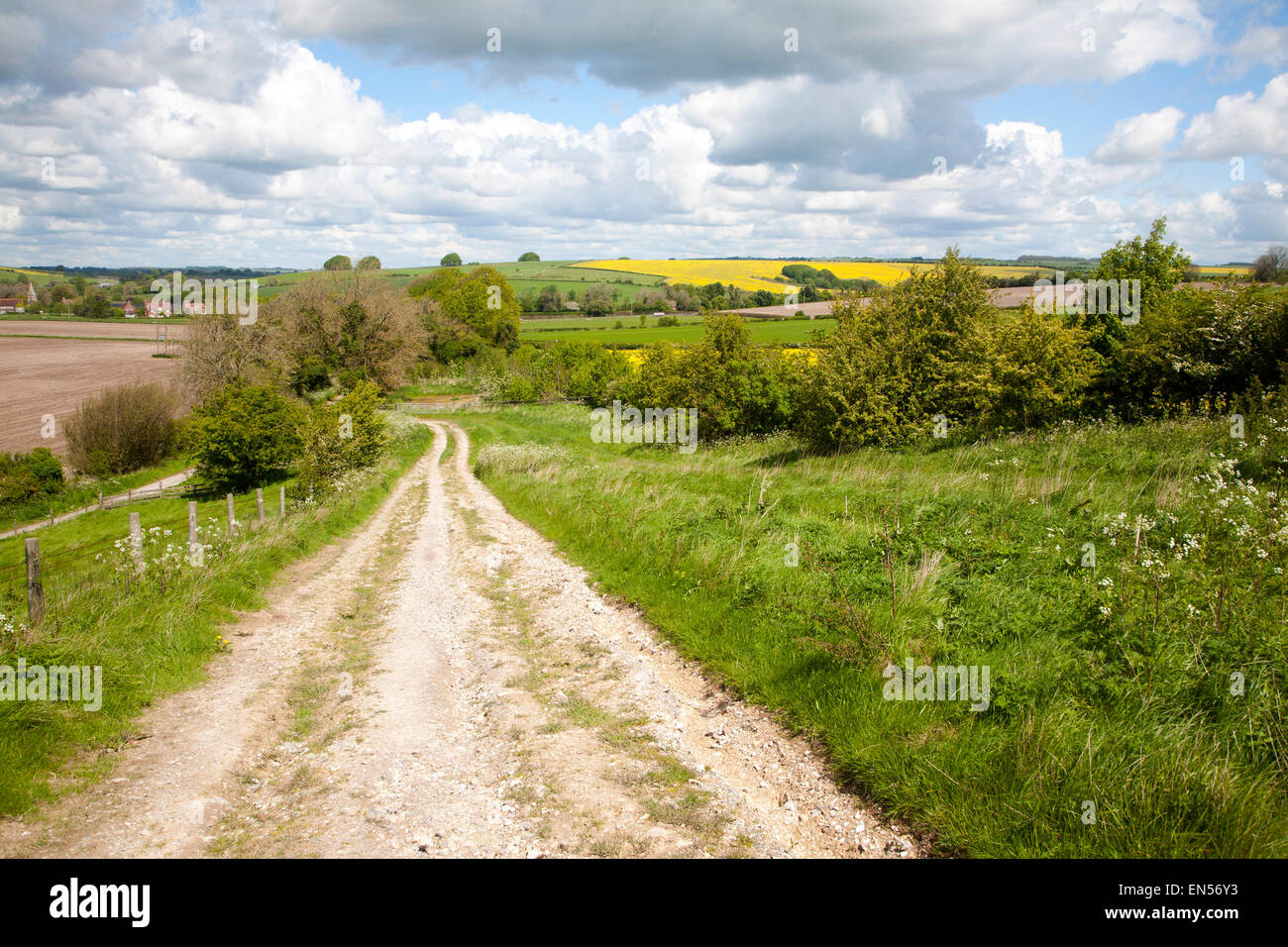 Unmade track crossing chalk landscape toward the village of East Kennet, Wiltshire, England Stock Photo