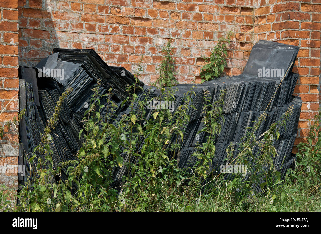 Salvaged slates hires stock photography and images Alamy