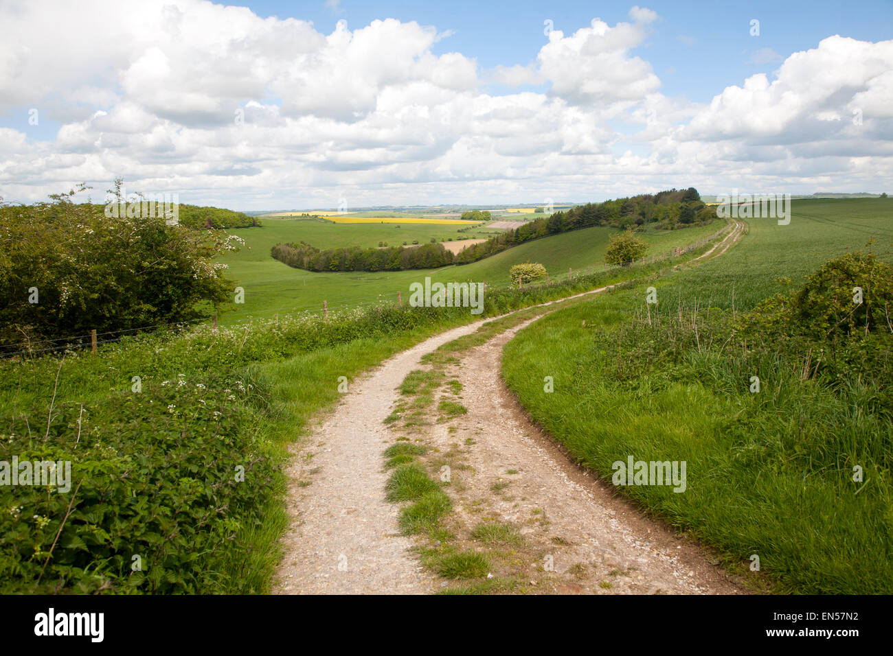 Unmade track crossing chalk landscape toward the village of East Kennet, Wiltshire, England Stock Photo