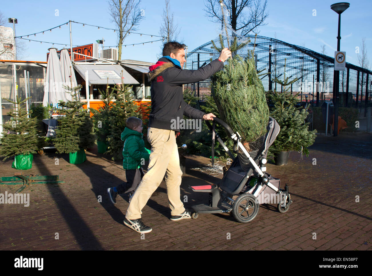 Christmas tree sales in Holland Stock Photo Alamy