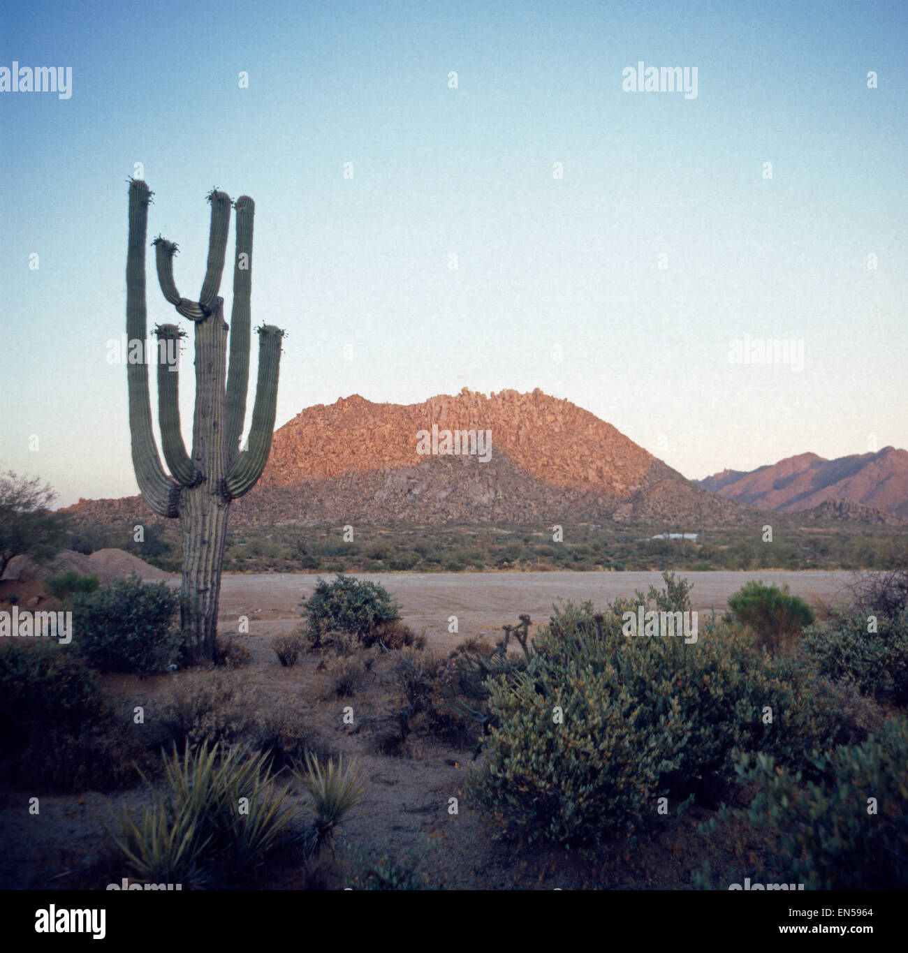 Die Wüstenlandschaft in Arizona, USA 1970er Jahre. The desert landscape of Arizona, US 1970s. Stock Photo