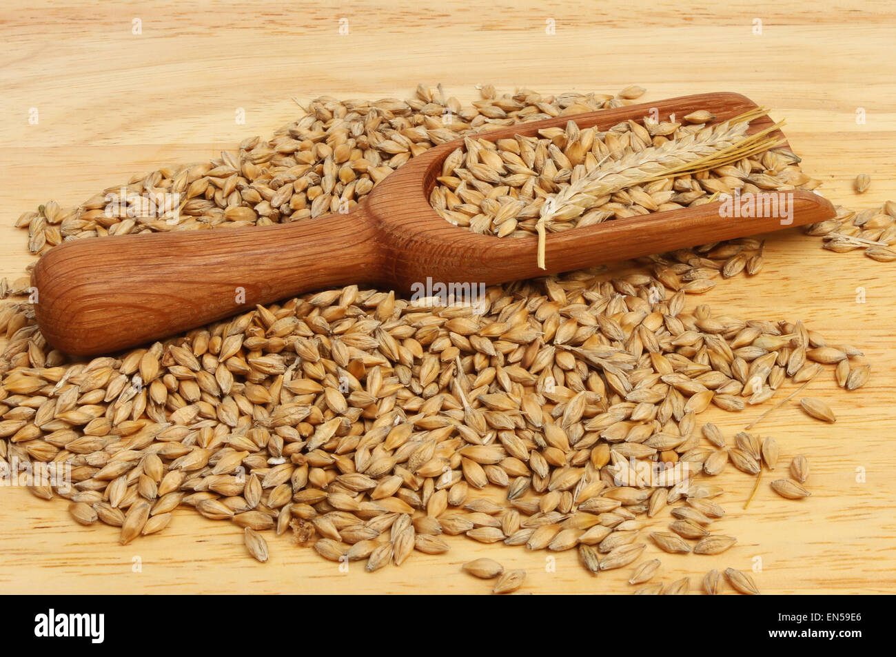 Barley in and around a wooden scoop on a wooden board Stock Photo