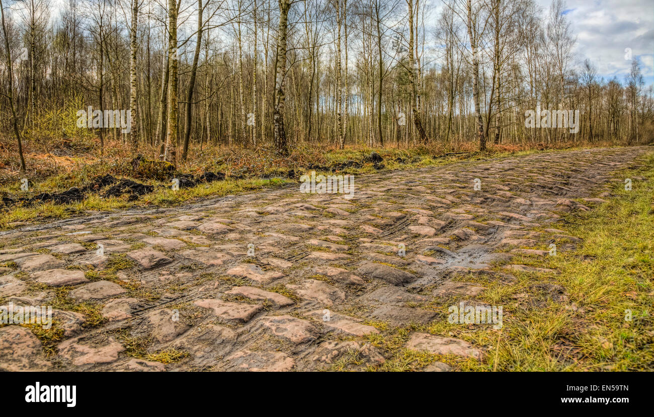 Image of the famous cobblestone road from the forest of Arenberg (Pave d'Arenberg). Stock Photo