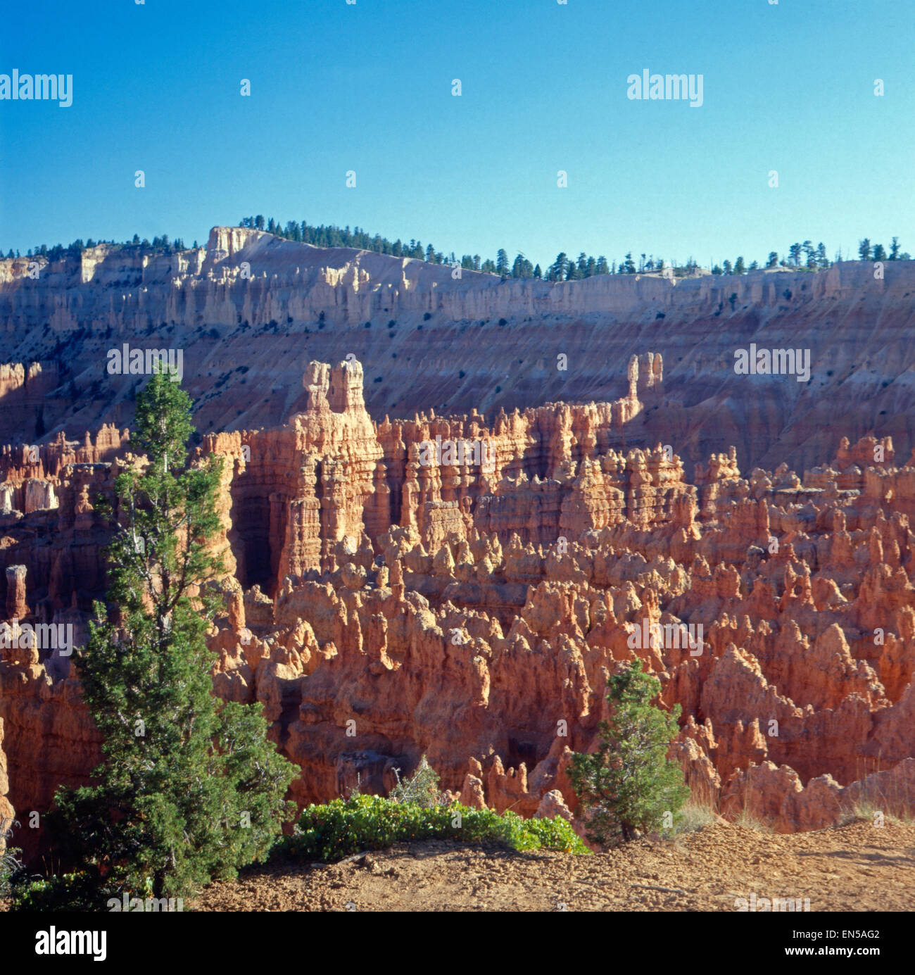 Aussicht auf den Bryce Canyon,  Bryce-Canyon-Nationalpark, Utah, USA 1980er Jahre. View on the Bryce Canyon,  Bryce Canyon Natio Stock Photo