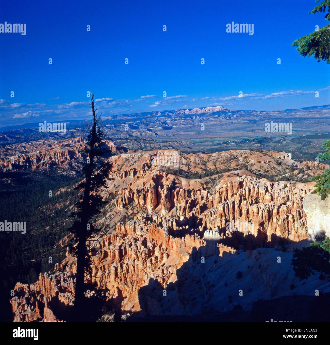 Aussicht auf den Bryce Canyon, Bryce-Canyon-Nationalpark, Utah, USA 1980er Jahre. View on the Bryce Canyon, Bryce-Canyon-Nationa Stock Photo