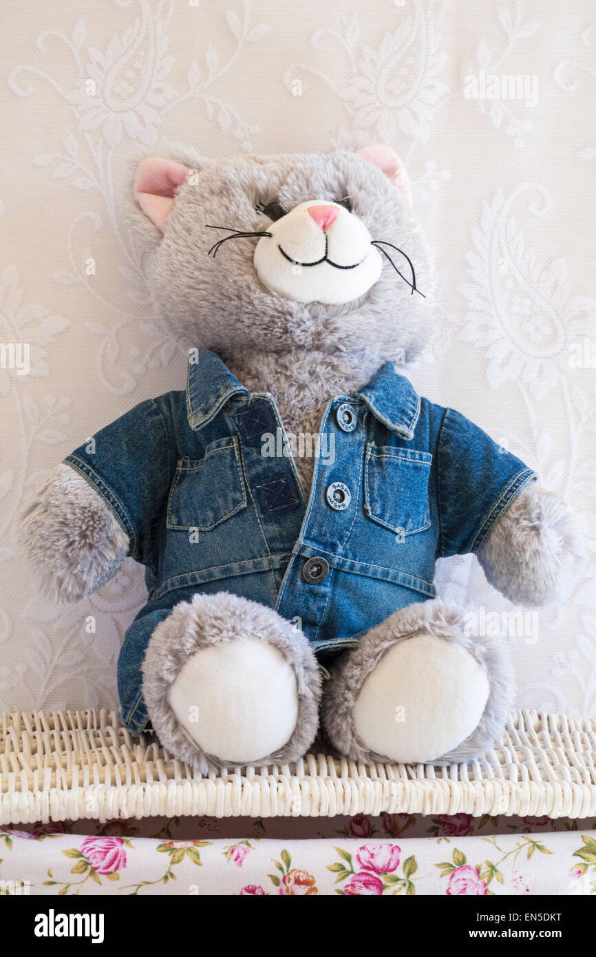 Build-a-bear workshop teddy bear cat soft cuddly toy wearing denim dress sitting on wicker basket Stock Photo