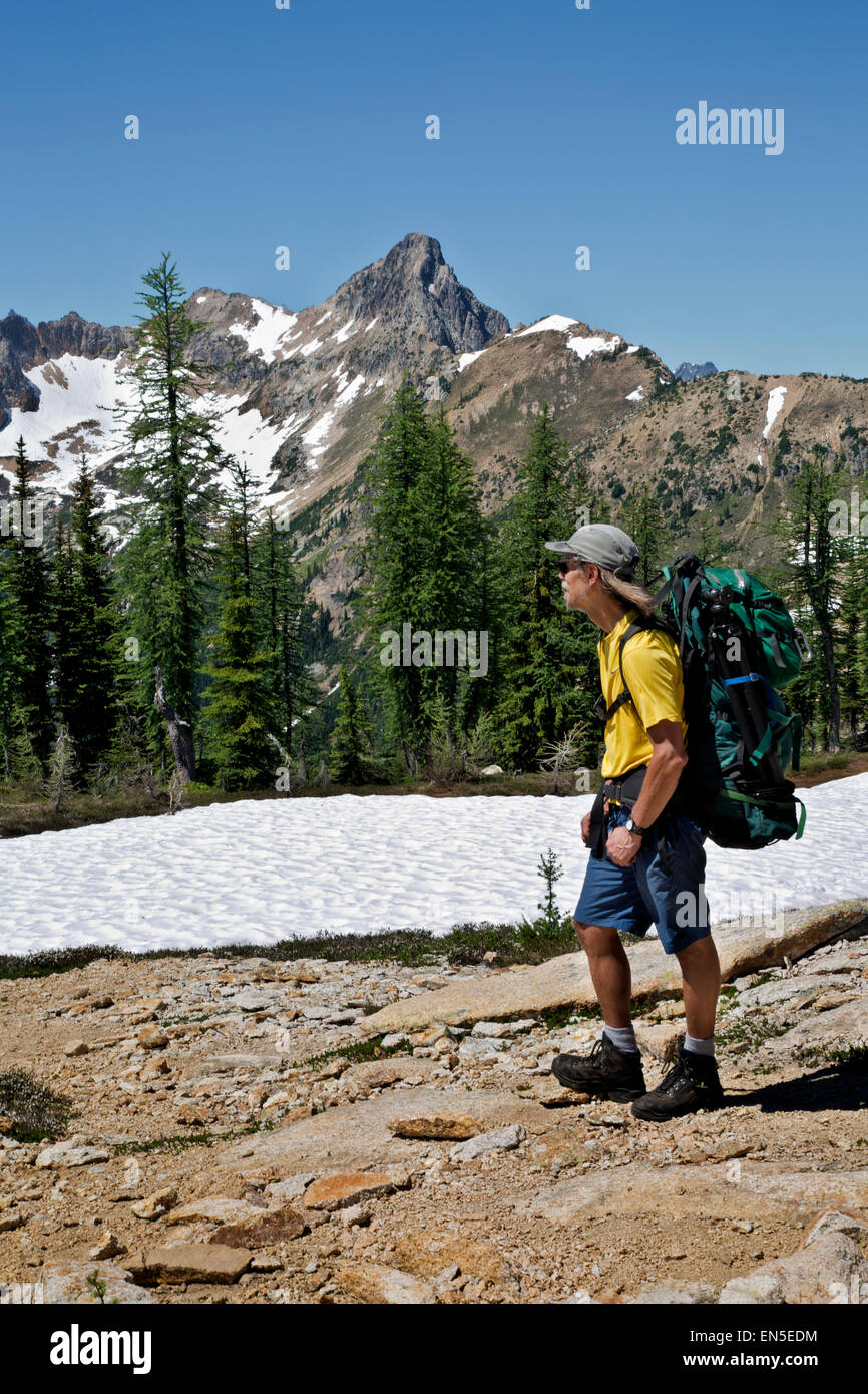 WASHINGTON - Hiker on the Pacific Crest Trail at Cutthroat Pass in the  North Cascades section of the Okanogan National Forest Stock Photo - Alamy