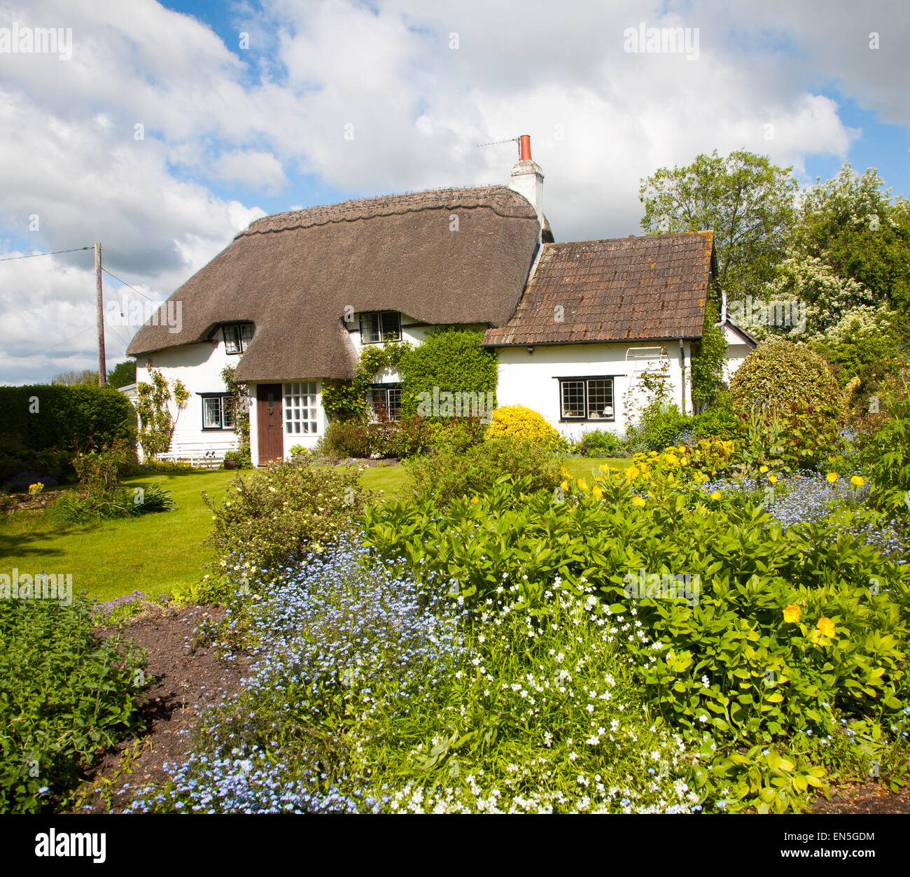 Pretty detached country cottage and garden Cherhill, Wiltshire, England, UK Stock Photo