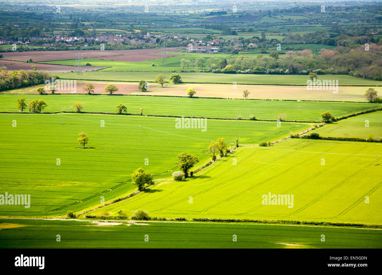 Summer view over patchwork of green fields looking east Roundway Hill, near Devizes, Wiltshire, England, UK Stock Photo