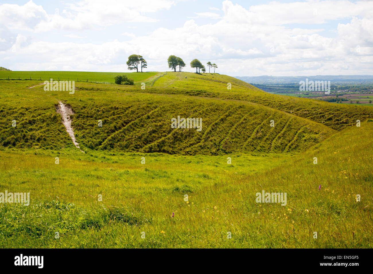 Chalk scarp slope with dry valleys at Roundway Hill,  near Devizes, Wiltshire, England Stock Photo