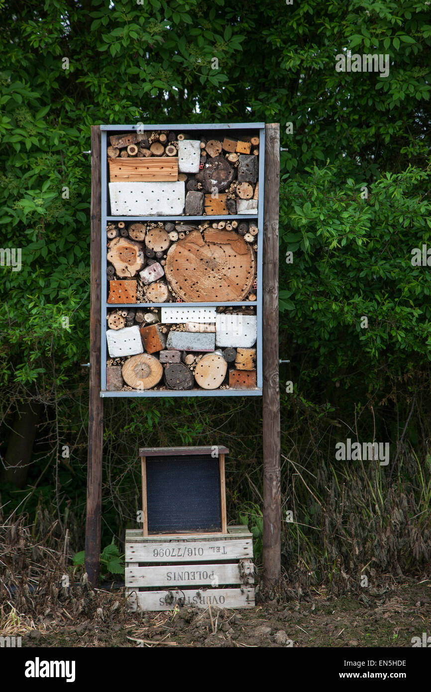 Insect hotel for solitary bees, artificial nesting place for insects / invertebrates offering nest holes in cavities and stems Stock Photo