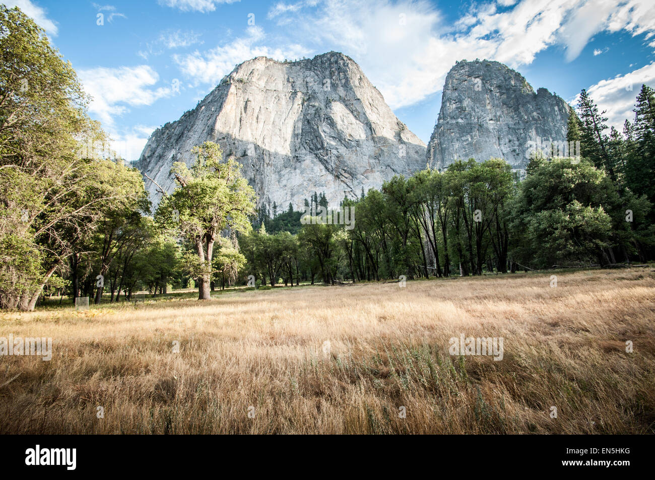 Yosemite half dome with meadow Stock Photo