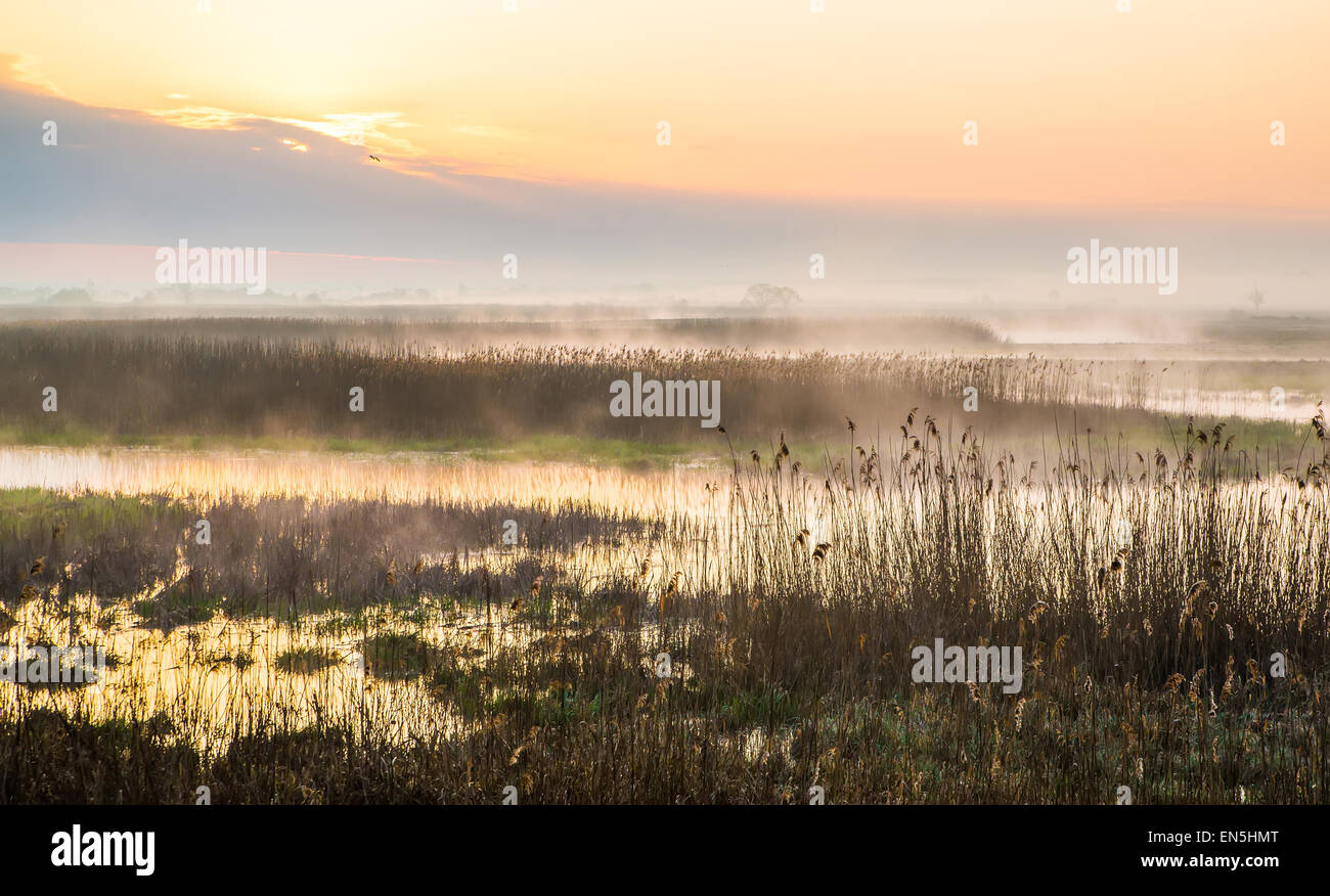 picturesque view of river at dawn light Stock Photo