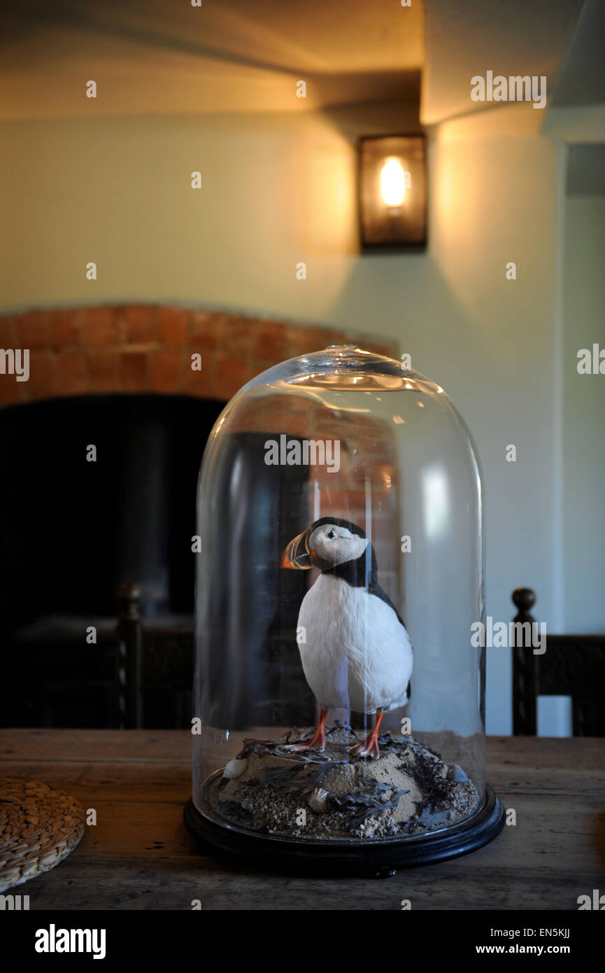 stuffed puffin