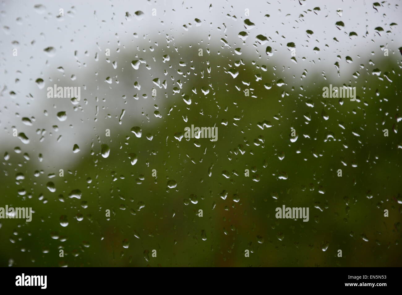 Rain Day Images – Browse 396 Stock Photos, Vectors, and Video