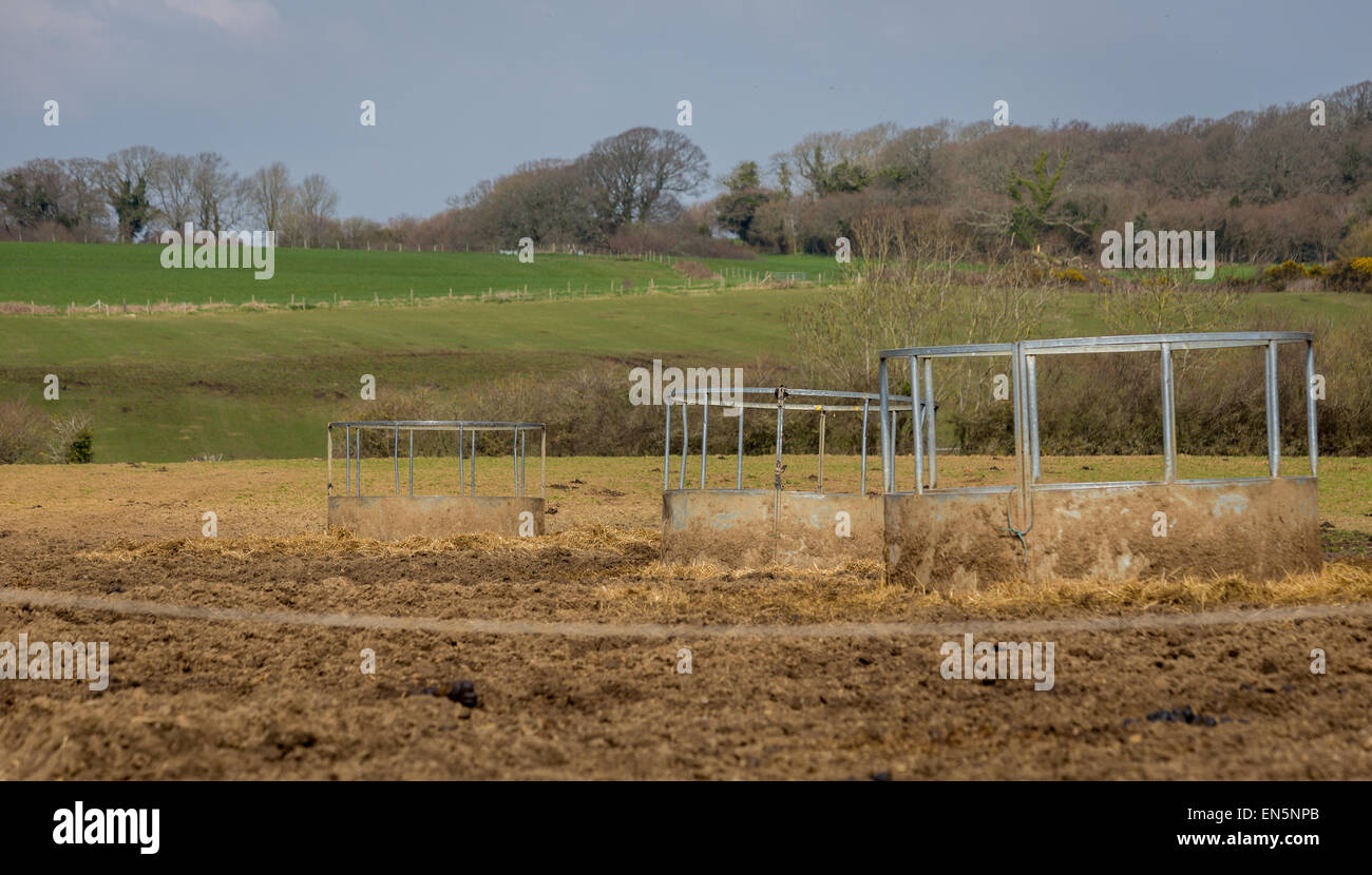A field with three horse troughs Stock Photo