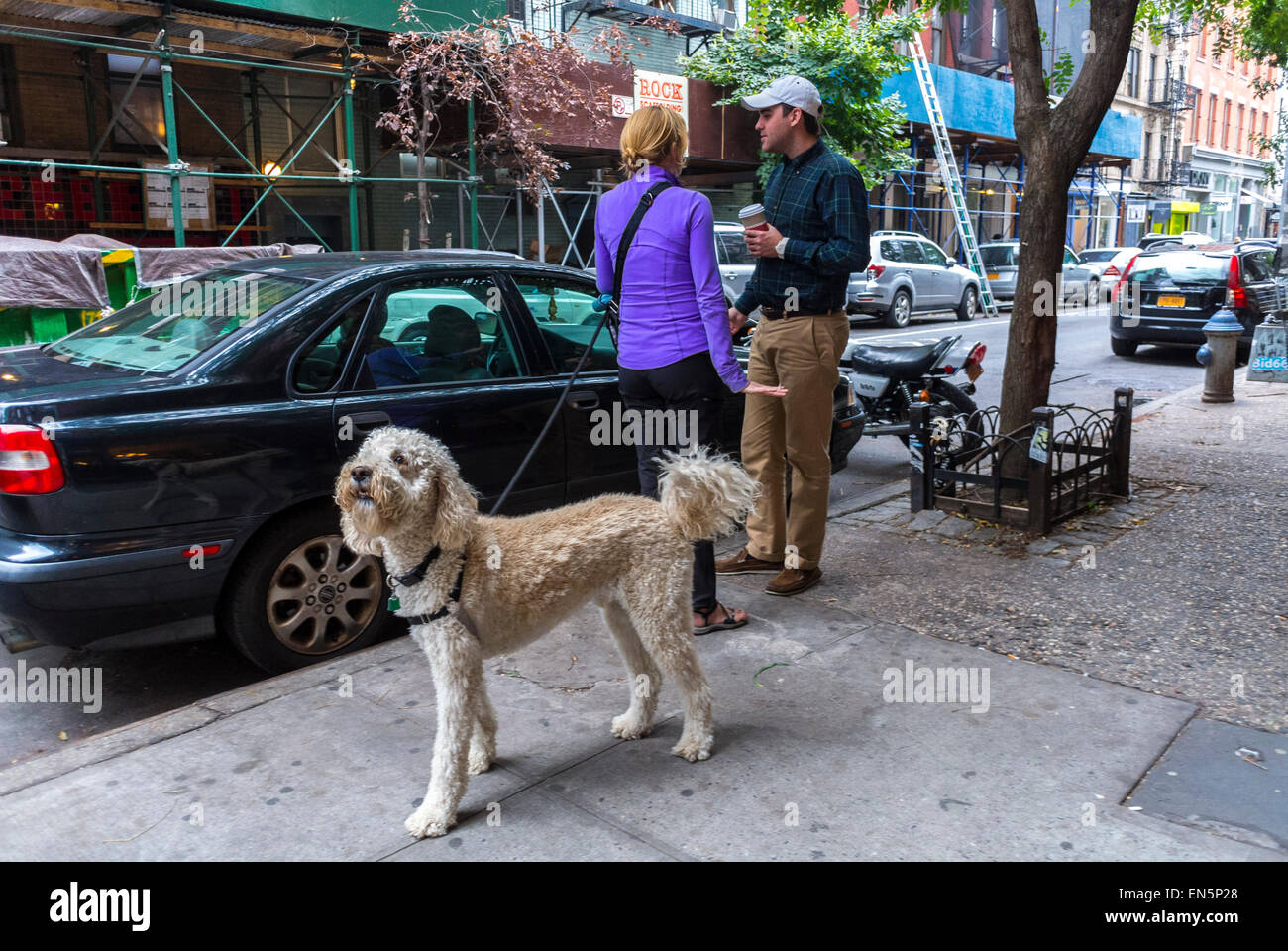 New York, NY, USA, Adult couple Walking dog in Soho,  on Street, Urban Pets Stock Photo