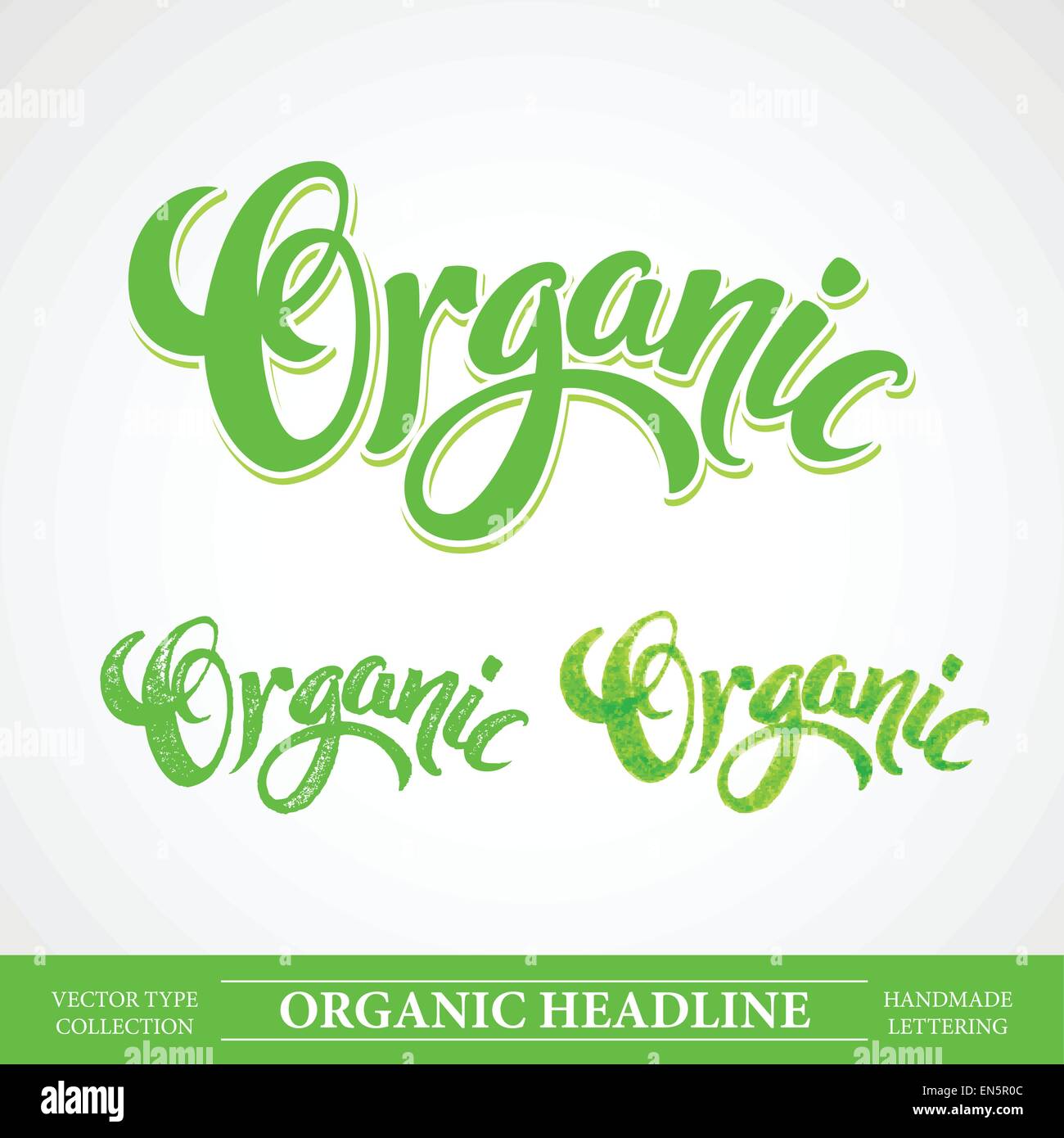 Title Organic. Vector Handmade lettering. EPS 10 Stock Vector