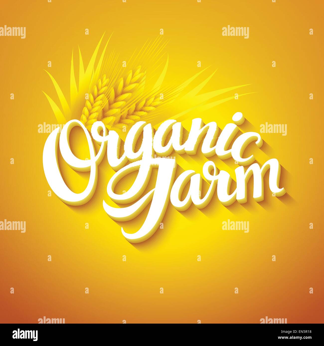 Vector organic background. Hand  drawn lettering EPS 10 Stock Vector