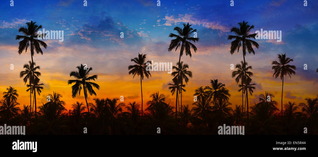 Coconut palms, sharply silhouetted against the bold orange, pink, lavendar and blue colors of a tropical sunset in Thailand, Sou Stock Photo