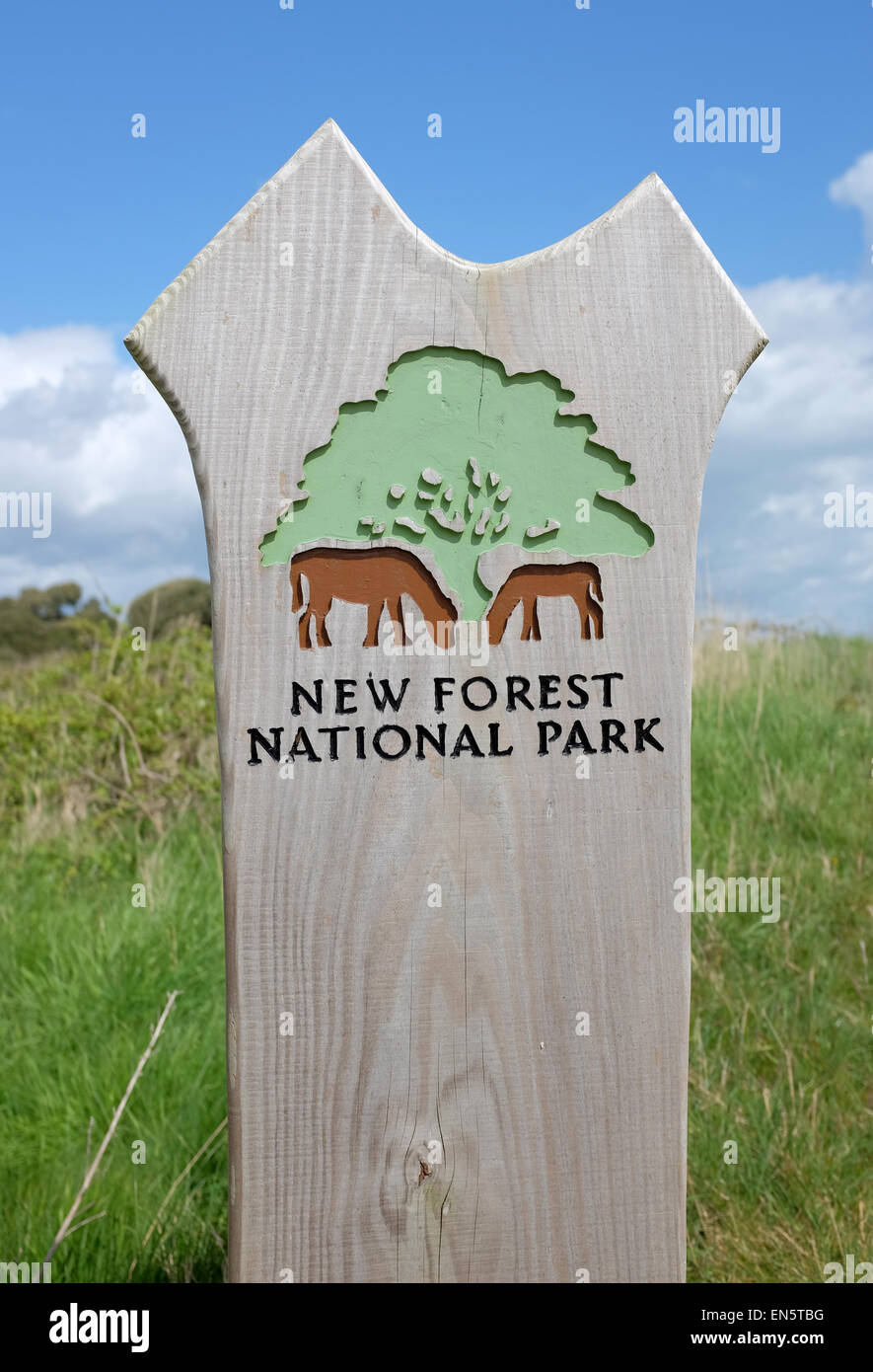 New Forest National Park sign against a blue cloudy sky Stock Photo