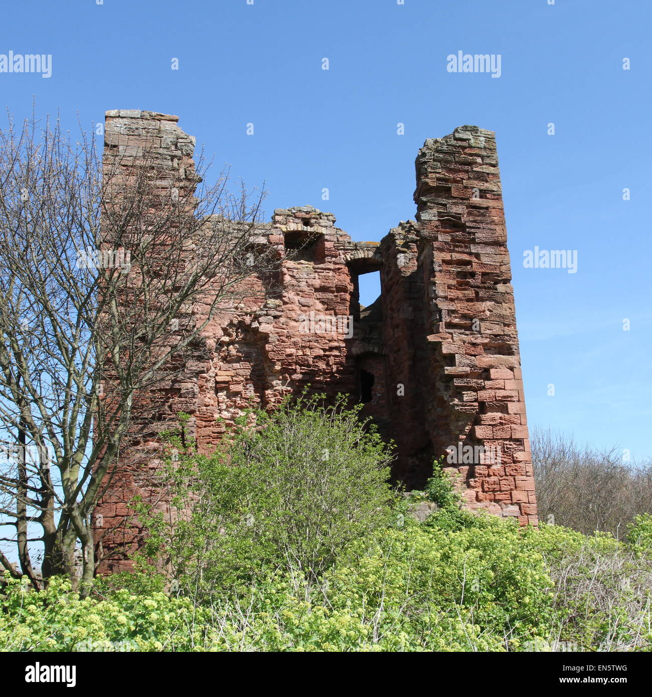 Macduff castle Fife Scotland April 2015 Stock Photo Alamy