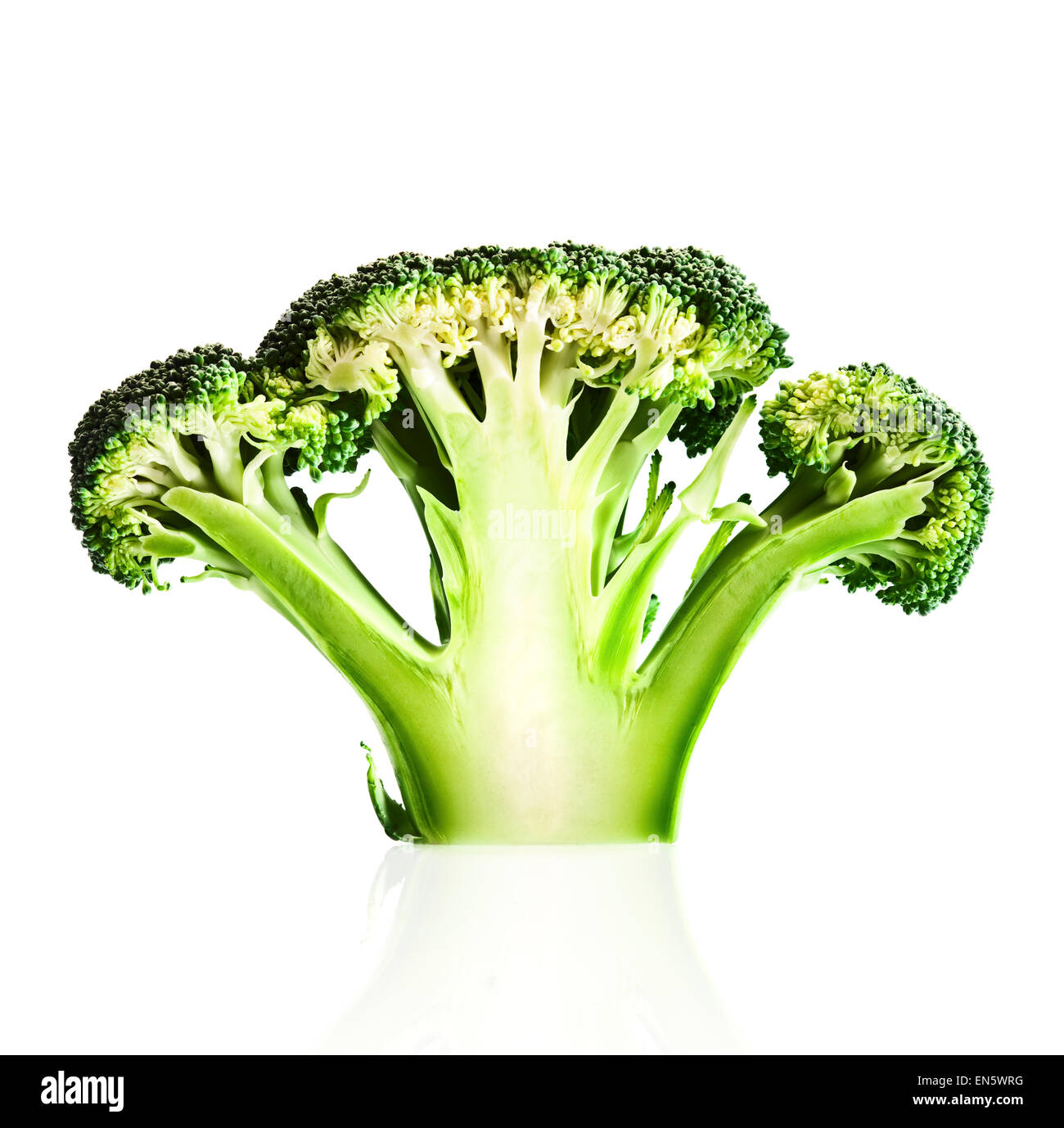 Broccoli cutaway on reflective white background Stock Photo