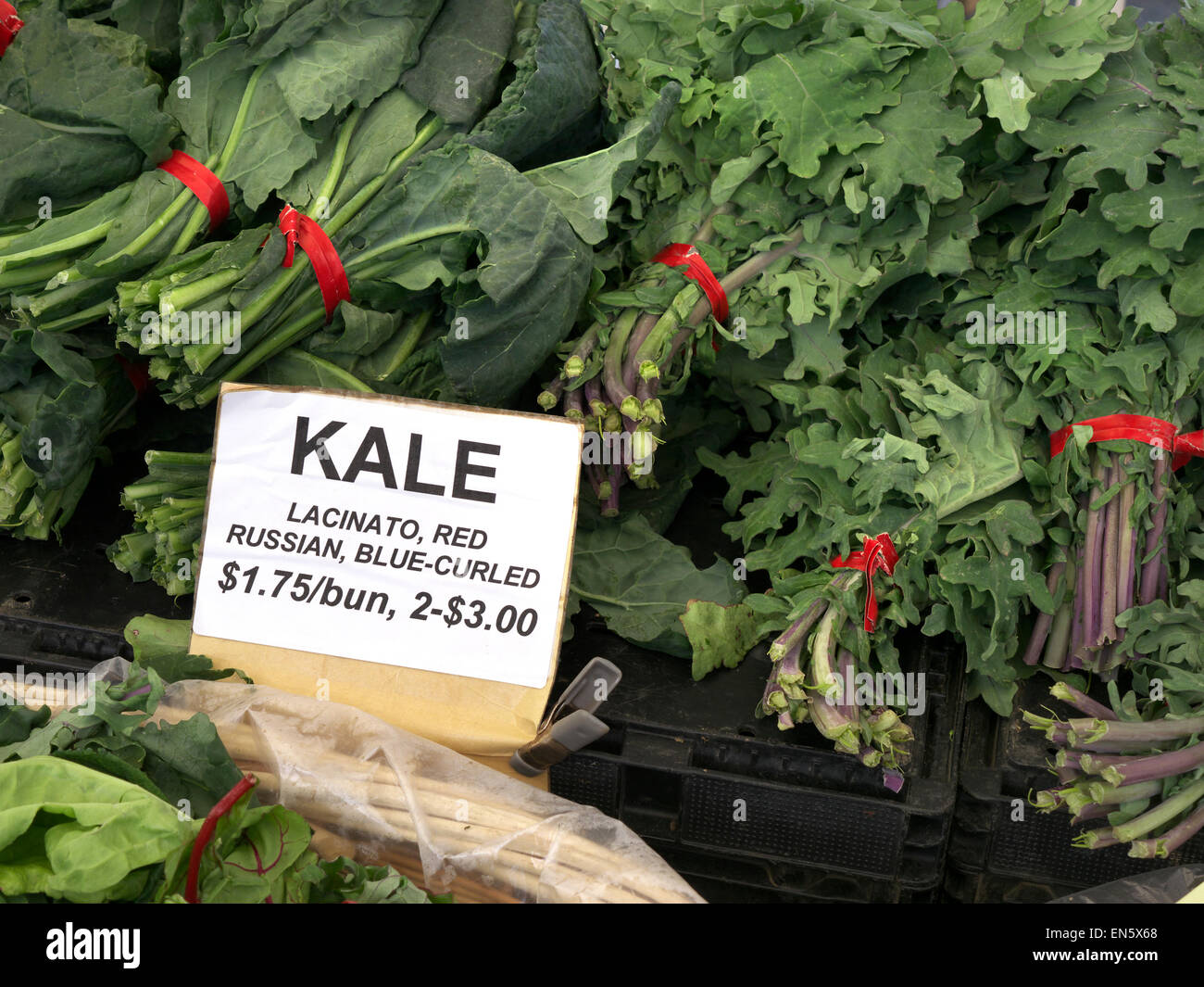 Loose bundles of Kale 'lacinato, Red Russian blue-curled' on display for sale in $ dollars per bundle at Farmers Market Embarcadero San Francisco USA Stock Photo