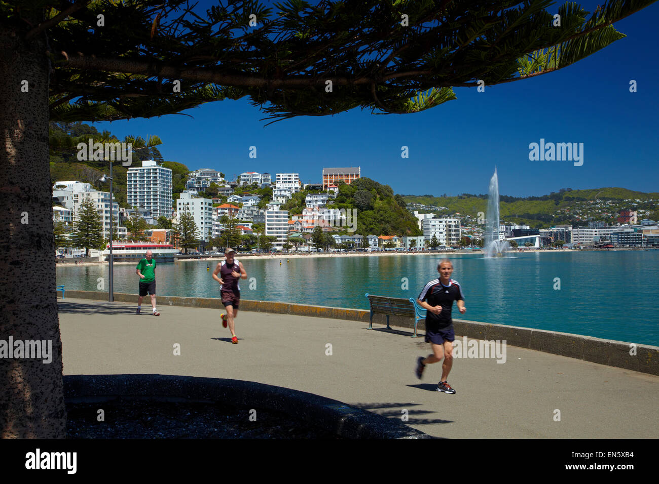 Runners at Oriental Bay, Wellington, North Island, New Zealand Stock