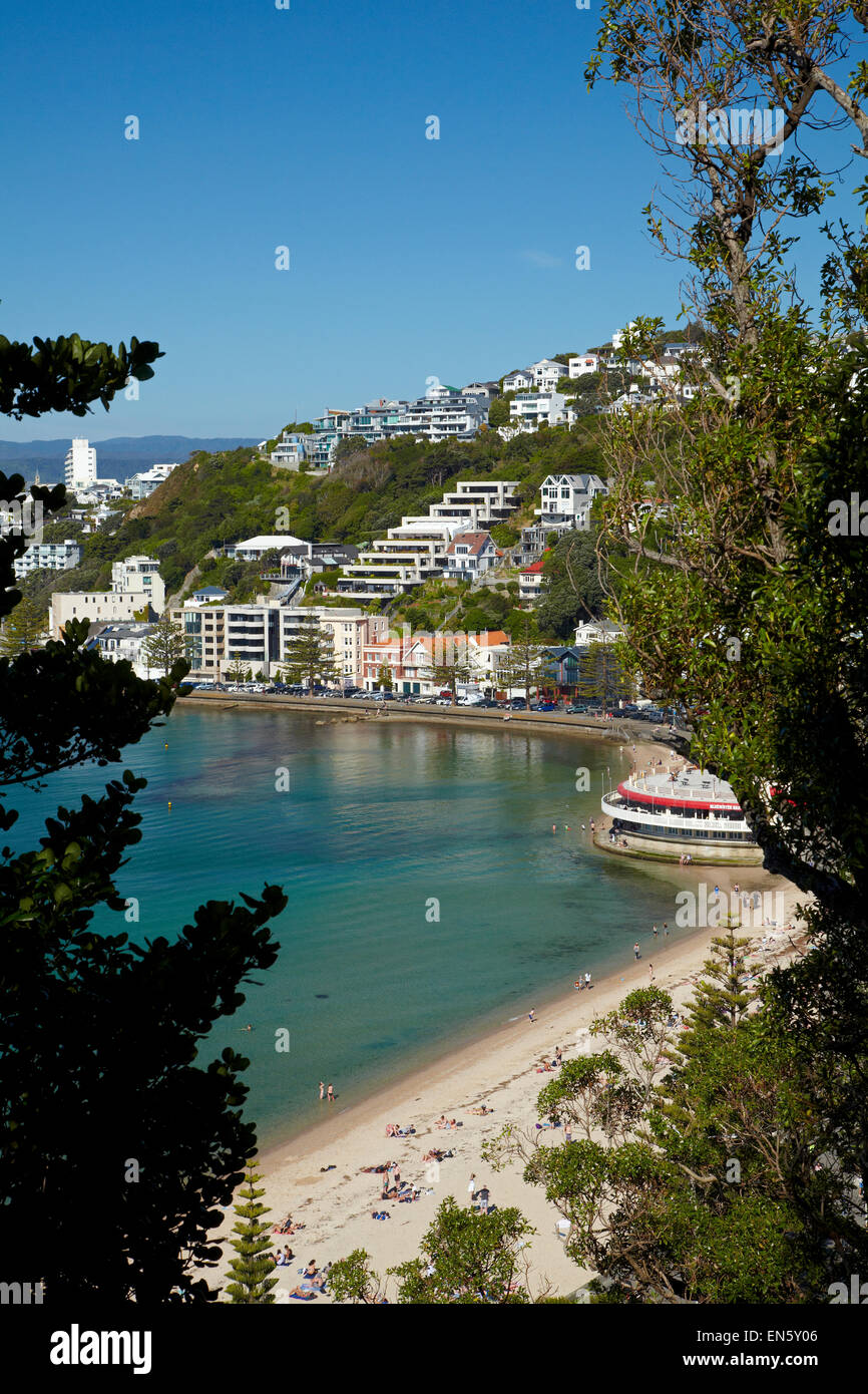 Oriental Bay, Wellington, North Island, New Zealand Stock Photo