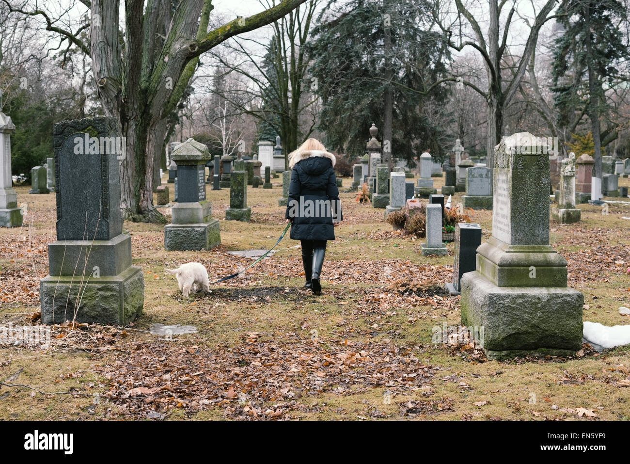 A Woman And Dog Walking Through Cemetery On Gloomy Day A Woman And Dog Walking Through Cemetery On Gloomy Day
