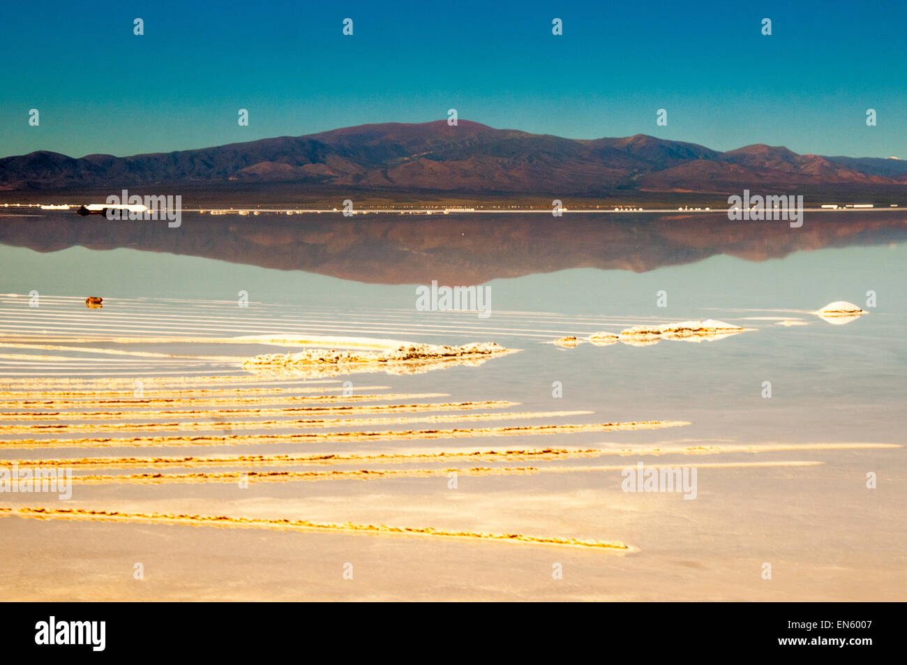 Salt pans on the Puna or Altiplano, between Salta, Argentina and the Chilean border at Paso Jama Stock Photo
