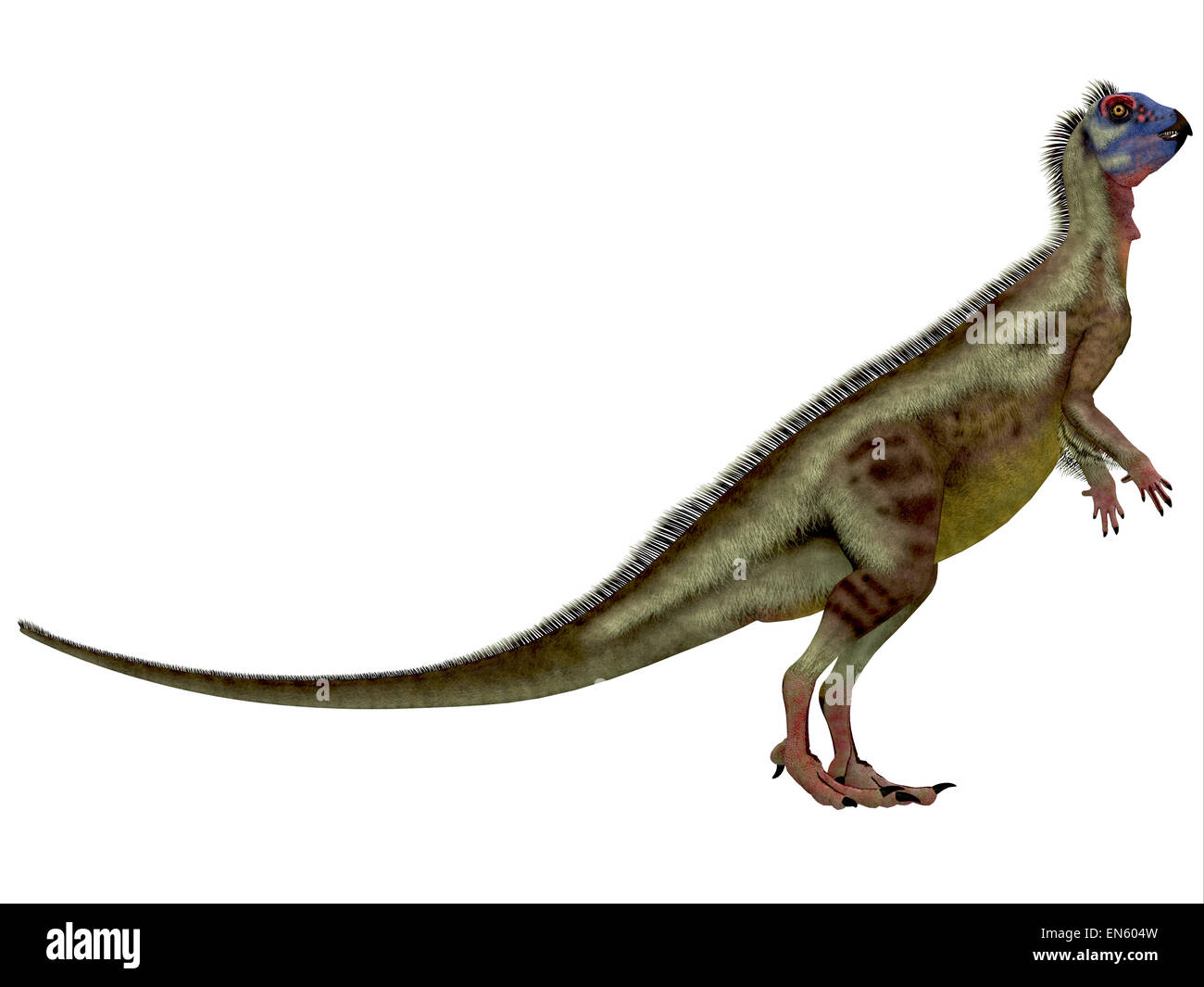 Hypsilophodon dinosaur running or jumping - 3D render Stock Photo - Alamy